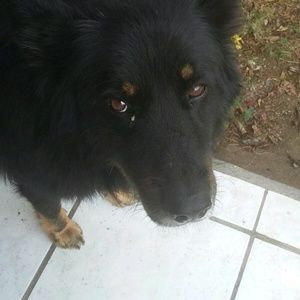 Meet your Posher, Luz